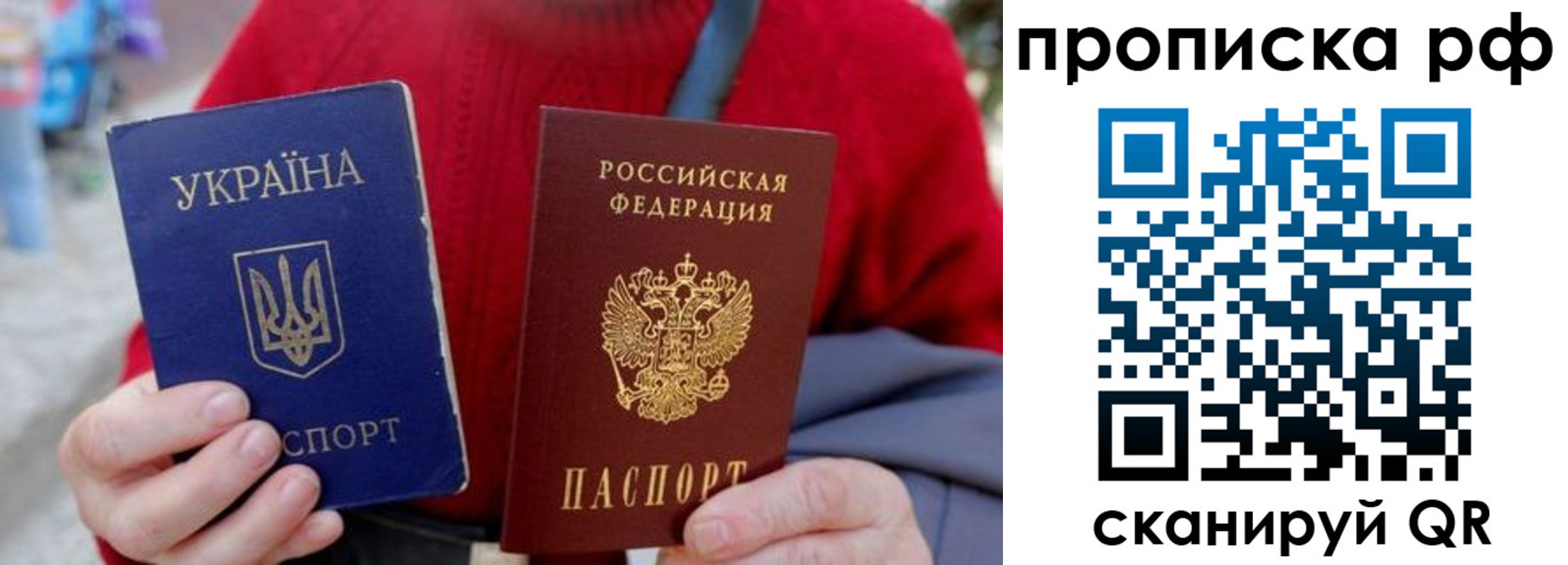 где прописаться в Вязьме