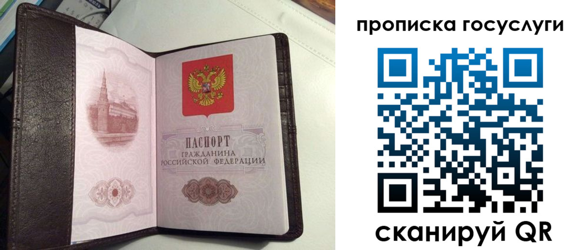 временная прописка в Вязьме